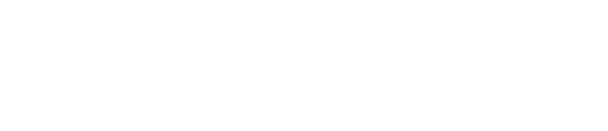 Brand Partner